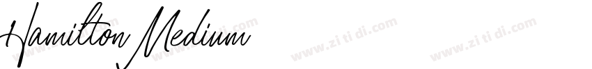 Hamilton Medium字体转换
